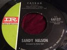 SANDY NELSON 