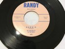Kenny and The Cadets - Barbie/What Is A Young Girl * Randy Surf 45 Beach Boys
