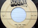 THE RE-VELS doowop SOUND 45 CHA CHA TONI b/w DREAM MY DARLING DREAM dm260