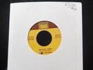 Stevie Wonder - Travlin' Man / Hey Love 7