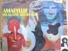 Amaryllis - Bread, Love and Dreams. 12