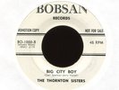 THE THORNTON SISTERS Big City Boy on Bobsan Promo Northern Soul 45 Hear