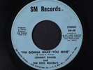 JOHNNY DANIEL & SOUL MALIBUS: I'm Gonna Make You Mine / Malibu Theme 45 (light