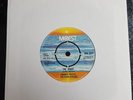 frankie valli the night