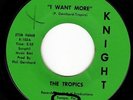 THE TROPICS - I WANT MORE - Their 1st 45 on its 1st Local Label - HEAR GARAGE 45