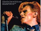 Bowie, Something For The Sigma Kids, 2 x Live LP