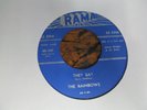 RAINBOWS They Say 45 RAMA 50s doo wop VG++ clean