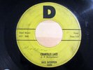 Rockabilly 45 BIG BOPPER Chantilly Lace/Purple People Eater Witch Doctor D-1008