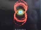 Pearl Jam ?– Binaural (2 LP)