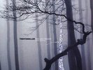 The Last Resort - TRENTEMÖLLER [2x LP]