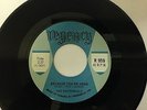 Rare Canadian 45 The Nocturnals Because You're Gone VG+++/NM
