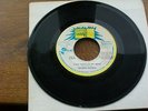 DELROY WILSON SKINHEAD/MOD/REGGAE 7” VINYL SINGLE ‘LAST THING ON MY MIND’