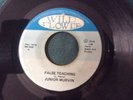 Wild Flower Junior Murvin False Teaching Wicked Steppers