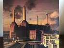 Animals by Pink Floyd Vinyl Columbia Records David Gilmour Roger Waters Pig