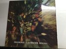 Creedence Clearwater Revival 