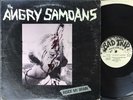 Angry Samoans:Inside My Brain 12