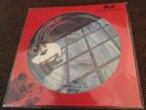 THE SKIDS - SCARED TO DANCE - PICTURE DISC ( BIG COUNTRY,THE CLASH, THE VALVES )