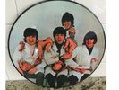The Beatles Butcher Cover SEALED Picture Disc LP Yesterday And Today