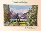 NICK HEYWARD - WOODLAND ECHOES - NEW VINYL LP