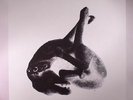 PATRICIA - Several Shades Of The Same Color 3/3 - Vinyl (12