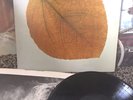 PETE JOLLY   SEASONS Vinyl LP 1970 A&M Records RARE PROMO Samples Jazz