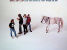 And The Horse They Rode In On [BLUE VINYL] (US 1990) : Soul Asylum