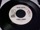 LARRY BANKS I'm Not The One/Muddy Water SUPERB RARE DEEP SOUL DJ PROMO 45 Hear