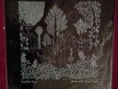 Dead Can Dance - Garden Of The Arcane Delights - RARE NM original vinyl BAD408