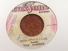 The sharks-how could i live in vg plays cleans 45RPM