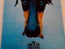 BIG COUNTRY WHY THE LONG FACE TOUR 1995 PROGRAMME