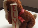 ELVIS PRESLEY - 100% GENUINE HOUND DOG AS SOLD AT THE SHOWS