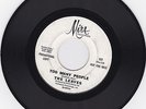 The LEAVES Too Many People 1965 Los Angeles garage punk HEAR