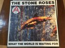 Stone Roses-Fools Gold/What The World Is Waiting For 12