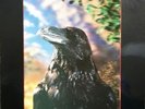 The Stranglers - The Raven vinyl album with 3D cover
