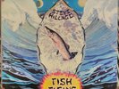 STEVE HILLAGE, FISH RISING,V2031, VINYL LP, 1st pressing,