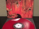 Slayer - Hell Awaits LP vinyl record EX/NM (rare red vinyl)