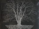 BLNDR - Phased - 12