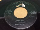 SAMMY SALVO WOLF BOY ROCKABILLY / MY PERFECT LOVE 45