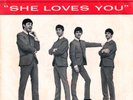 THE BEATLES - She Loves You / I'll Get You - Picture Sleeve - Swan - 7