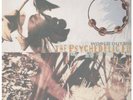 PSYCHEDELIC FURS World Outside LP VINYL German East West 1991 10 Track With