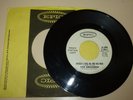 GARAGE BAND 45 RPM RECORD - THE BRIGANDS - EPIC 5-10011 - PROMO