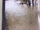Bon Iver - For Emma, Forever Ago VINYL LP **NEW**