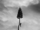 MANCHESTER ORCHESTRA A BLACK MILE TO THE SURFACE NEW VINYL 2LP IN STOCK