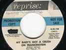 SOUPY SALE crush on Frankenstein 45 top R&B POPCORN garage HALLOWEEN hear ?