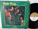 VG/VG- Marble Phrogg Private garage psych fuzz 6 Pokora Star LP Oklahoma (1968)