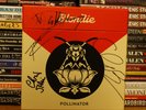 Blondie Pollinator 6x 7