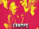 THE CRAMPS 1976 Frank Further And The Hot Dogs LP . poison ivy lux interior punk