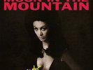 THE CHROME CRANKS Moon In The Mountain LP . scientists royal trux spacemen 3