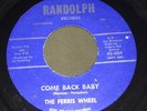 Indiana Garage 45rpm The Ferris Wheel Baby Come Back Randolph Records Rare Rock