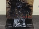 Protector - Urm the mad LP Vinyl Vectom Darkness Kreator Violent Force